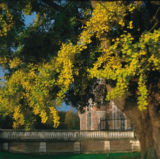 Parc du château de Marchais (Aisne)