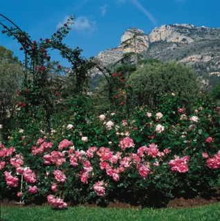 Monaco, Roseraie de la princesse Grace