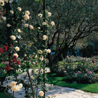 Monaco, Roseraie de la princesse Grace