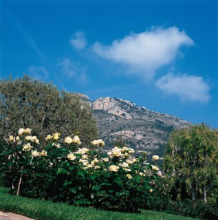 Monaco, Roseraie de la princesse Grace
