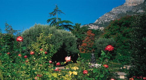 Monaco, Roseraie de la princesse Grace