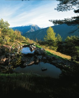 Arboretum de Roure (Alpes-Maritimes)