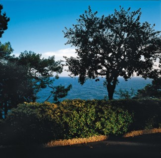 Monaco, Jardins Saint-Martin