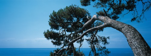 Monaco, Jardins Saint-Martin