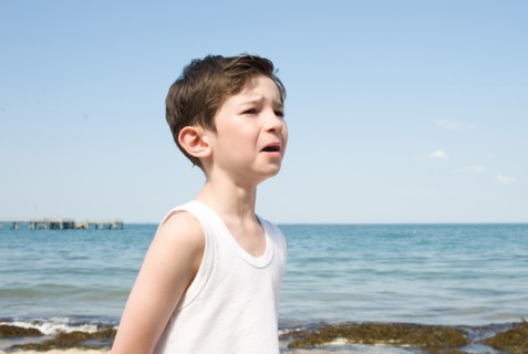 Les Vacances du Petit Nicolas