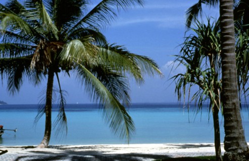 Paysage des îles Seychelles