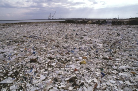 Une décharge près de la Rochelle