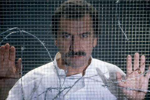 Noël Mamère, 1988