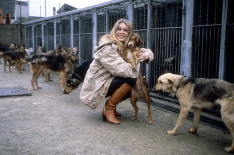 Brigitte Bardot, 1986