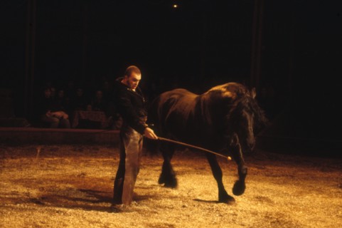 Bartabas, 1989