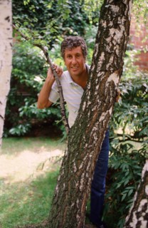 Stéphane Collaro, 1980