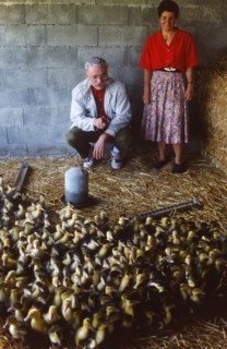 Michel Cardoze, 1990