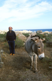 Marco Ferreri, 1989