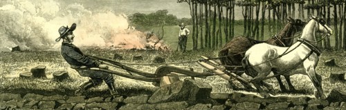 Canada, Farm life, 1880, Breaking up new ground, stuck in a root