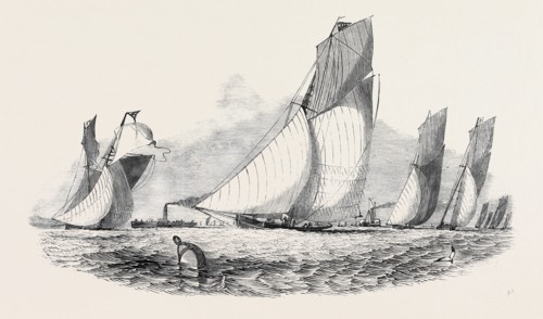 THE ROYAL THAMES YACHT CLUB MATCH, DRAWN BY N.M. CONDY, ESQ; MYSTERY, ANTAGONIST, BELVIDERE, VIXEN,