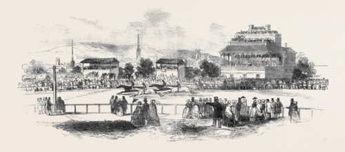 SHREWSBURY RACES, GREAT BRITAIN