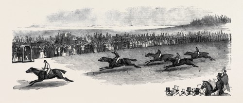 THE 2000 GUINEA RACE, NEWMARKET