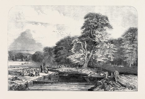 SHEEP-WASHING, BY E. DUNCAN