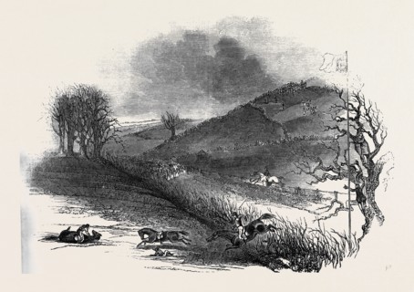 THE NORTHAMPTON STEEPLE CHASE.