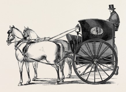 THE NEW CURRICLE TRIBUS.