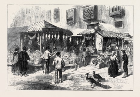 SPAIN: OLD MARKET-PLACE OF SAN MIGUEL, 1873