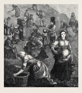 THE STRIKE IN SOUTH WALES: GATHERING SHINDLES FOR FUEL, 1873