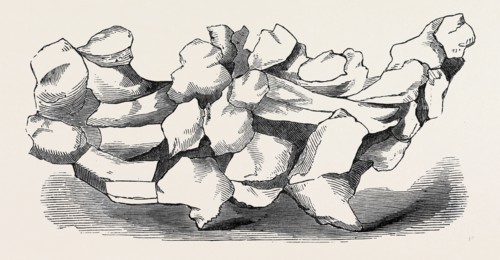 HAILSTONE, EIGHT OUNCES, NATURAL SIZE, FALLEN IN MESSINA, AUGUST 17, 1857