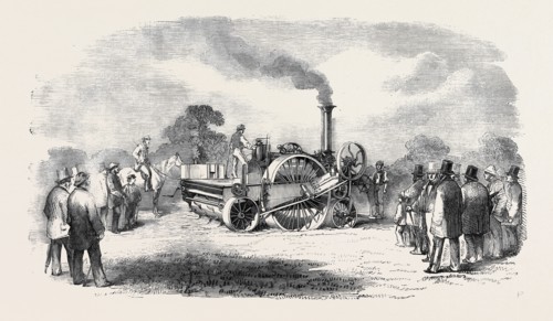 STEAM CULTIVATION: CROSSKILL'S ROMAINE CULTIVATOR