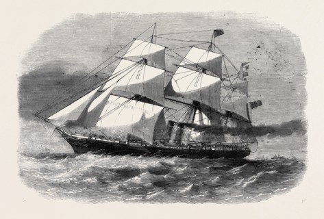 THE SCREW STEAMSHIP "AUSTRALASIAN"