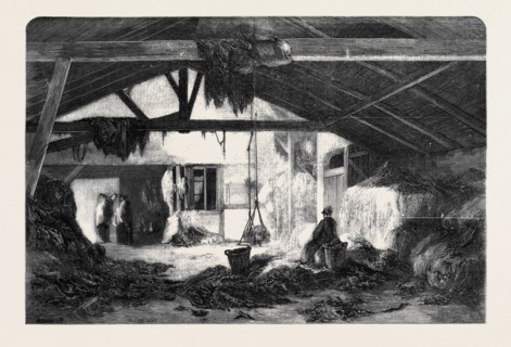 A RAG WAREHOUSE IN PARIS