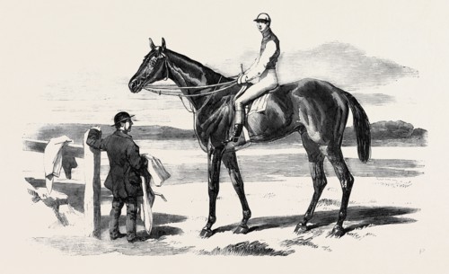 THE CELEBRATED RACE HORSE "FISHERMAN"
