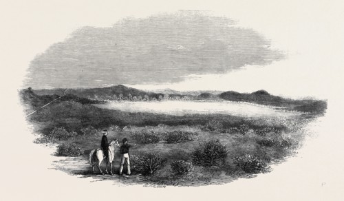 SITE OF A PROPOSED CAMP AT WOOLMER FOREST