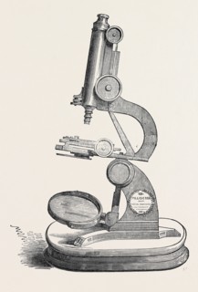 PILLISCHER'S MICROSCOPE, THE GREAT EXHIBITION
