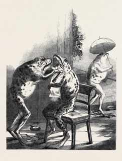 STUFFED FROGS, FROM WIRTEMBURG, FROM A DAGUERREOTYPE BY CLAUDET