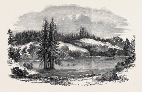 VIEW OF THE COUNTRY NEAR RUSSIAN RIVER, 100 MILES NORTH-WEST OF SAN FRANCISCO