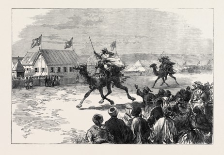 FETES OF THE VICEROY OF EGYPT AT CAIRO: THE DROMEDARY RACE, 1869