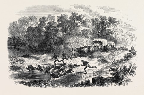 TRAVELLING IN AFRICA: THE RAIN-POOL BY THE WAY, 1869