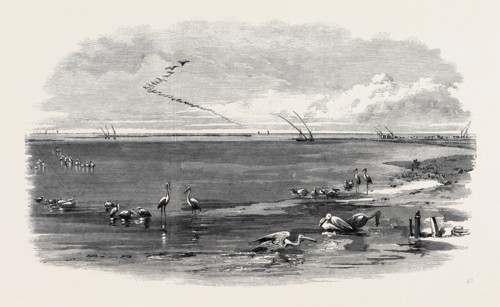 THE ISTHMUS OF SUEZ MARITIME CANAL: LAKE MENZALEH, 1869