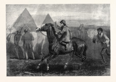 "AT KINGSTON FAIR," IN THE EXHIBITION OF THE COLLECTED WORKS OF THE LATE GEORGE H. THOMAS, 168, NEW