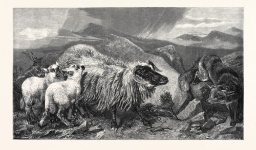 "THE UNWELCOME VISITOR," BY E. ANSDELL, A.R.A., IN THE EXHIBITION OF THE ROYAL ACADEMY, 1869