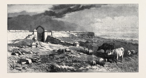 THE CRIMEA REVISITED: CATHCART HILL, 1869