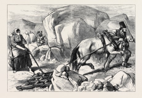 IRELAND: HARROWING UNDER DIFFICULTIES, MOUNTAIN FARM IN COUNTY MAYO, 1880