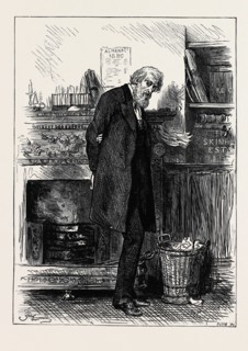 THE FAMILY SOLICITOR, 1880