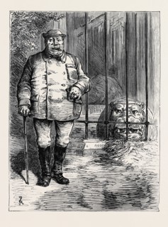 AT THE ZOOLOGICAL SOCIETY'S GARDENS IN LONDON: PACHYDERMATOUS OR THICK-SKINNED ANIMALS, 1880