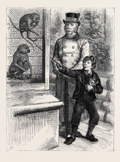AT THE ZOOLOGICAL SOCIETY'S GARDENS IN LONDON: THE MONKEYS, 1880