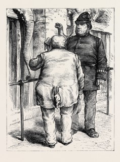 AT THE ZOOLOGICAL SOCIETY'S GARDENS IN LONDON: PACHYDERMATOUS OR THICK-SKINNED ANIMALS, 1880
