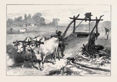 THE FAMINE IN BENGAL: INDIAN MODE OF IRRIGATION, 1874