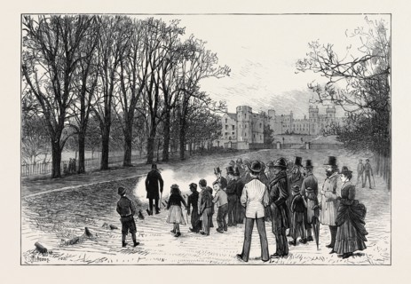 MARRIAGE FESTIVITIES FOR THE DUKE OF EDINBURGH: FIRING A SALUTE IN THE LONG WALK, WINDSOR PARK,