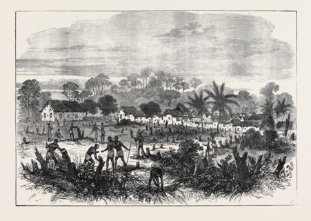 THE ASHANTEE WAR: THE BATTLE-FIELD OF ABRAKRAMPA, 1874
