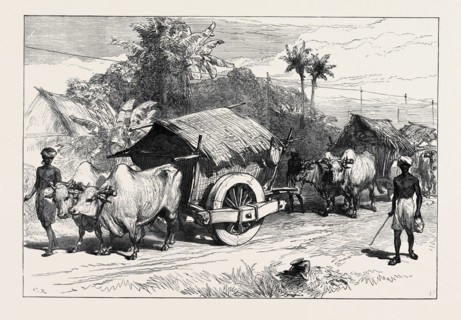 THE FAMINE IN BENGAL: BULLOCK HACKERIES FOR CARRYING GRAIN, 1874